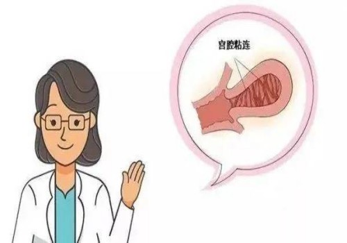 做試管嬰兒前如何調(diào)理內(nèi)膜，學會這些方法提高著床成功率